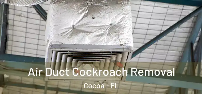 Air Duct Cockroach Removal Cocoa - FL