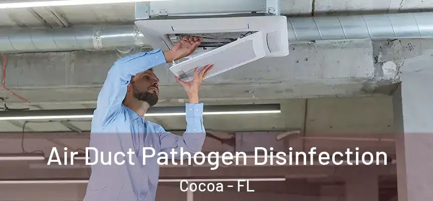 Air Duct Pathogen Disinfection Cocoa - FL
