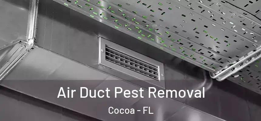  Air Duct Pest Removal Cocoa - FL