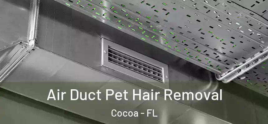 Air Duct Pet Hair Removal Cocoa - FL