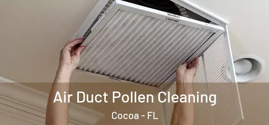 Air Duct Pollen Cleaning Cocoa - FL