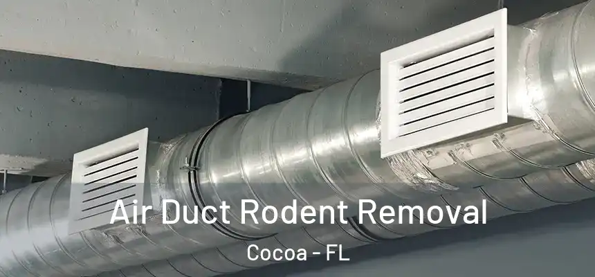  Air Duct Rodent Removal Cocoa - FL