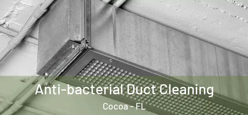  Anti-bacterial Duct Cleaning Cocoa - FL