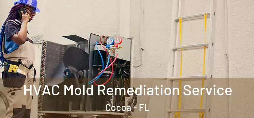  HVAC Mold Remediation Service Cocoa - FL