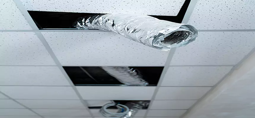 Our Air Duct Pet Hair Removal Services in Cocoa, FL