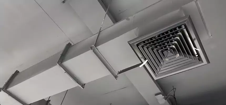 Our Rodent Droppings In Vents Services in Cocoa, FL