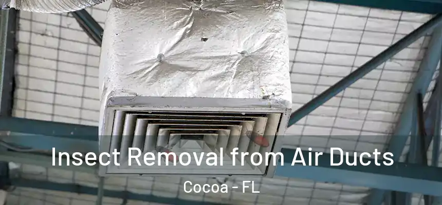 Insect Removal from Air Ducts Cocoa - FL
