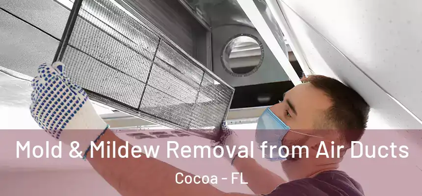 Mold & Mildew Removal from Air Ducts Cocoa - FL