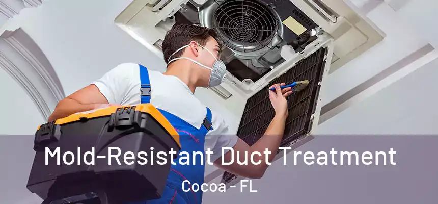  Mold-Resistant Duct Treatment Cocoa - FL