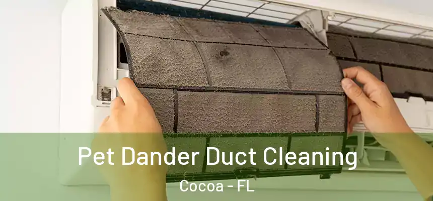 Pet Dander Duct Cleaning Cocoa - FL