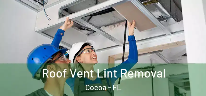 Roof Vent Lint Removal Cocoa - FL