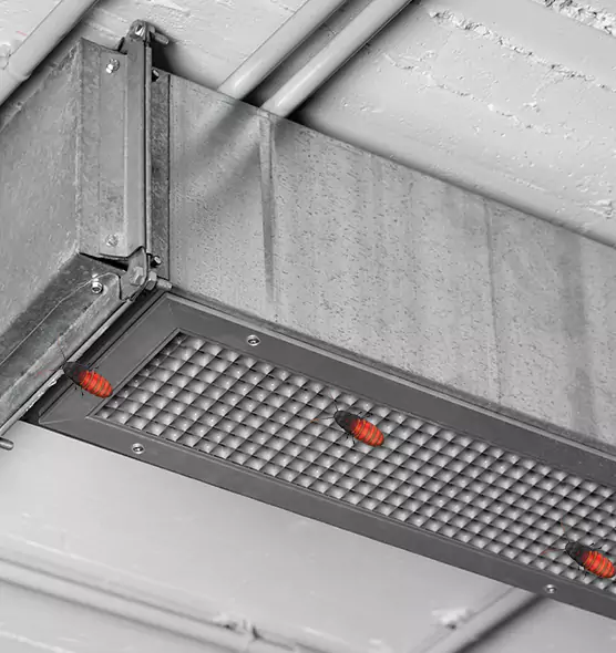 Affordable Insect Removal from Air Ducts in Cocoa, FL