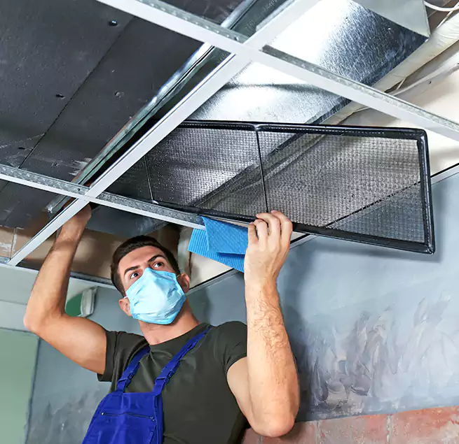 Why Homeowners Businesses Trust Us in Cocoa, FL