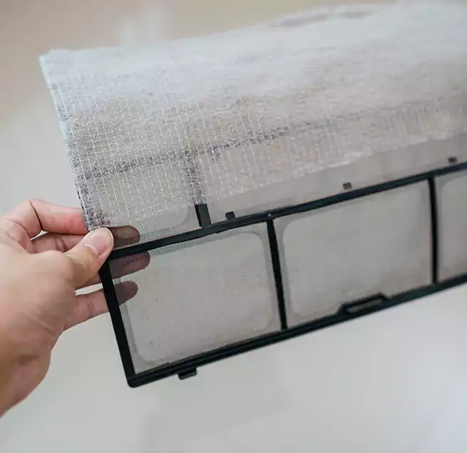 Why Homeowners & Businesses Trust Us in Cocoa, FL?