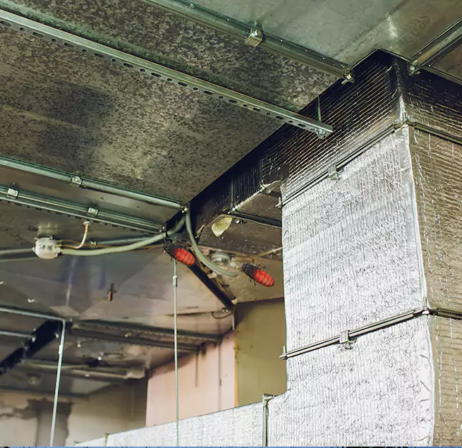 Why Homeowners & Businesses Trust Us Cocoa, FL?